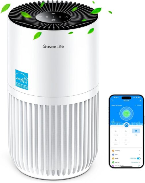 Purificador de aire GoveeLife Mini